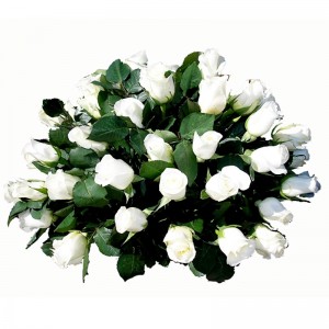 Ovalo de Condolencias de 25 Rosas Blancas Ovalo de Condolencias de 25 Rosas Blancas