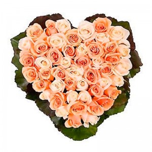 Canastillo Corazón 24 Rosas Rosadas Canastillo Corazon Rosas Rosa