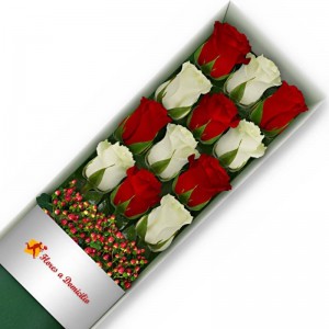 CAJA DE 12 ROSAS ROJAS Y BLANCAS CAJA DE 12 ROSAS ROJAS Y BLANCAS