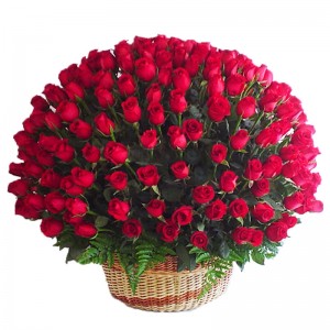 Canastillo Gigante con 100 Rosas Rojas Canastillo Gigante con 100 Rosas Rojas