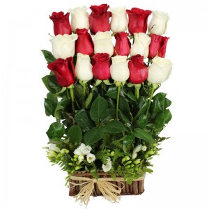 Canastillos Mediano con 18 Rosas Rojas y Blancas Alineadas Canastillos Mediano con 18 Rosas Rojas y Blancas Alineadas