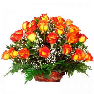 Canastillo Mediano de 24 Rosas Circus Canastillo Mediano de 24 Rosas Circus