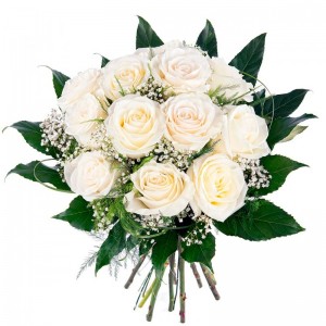 Ramo de 12 rosas Blancas para Condolencias