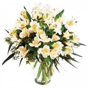 Florero de 30 varas de flores Astromelias Blancas Para Condolencias