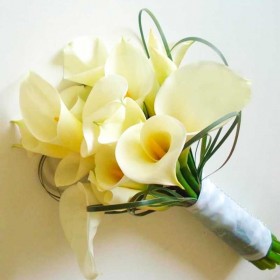 Ramo de Novia Pureza Ramo de Novia Pureza