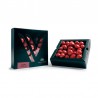 Caja Gragea Passion Cranberry 120 Grs.