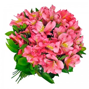Ramo de 40 Astromelias Color Rosadas Ramo de 40 Astromelias Color Rosadas