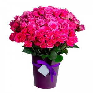Florero de 24 rosas color fucsia