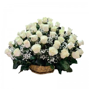 Arreglo para Condolencias con 40 Rosas Blancas Cesta Grande Arreglo para Condolencias con 40 Rosas Blancas Cesta Grande