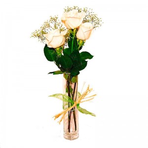 Condolencias Presencia 3 Rosas Blancas en Florero Condolencias Presencia 3 Rosas Blancas en Florero