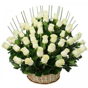 Arreglo para Condolencias 50 Rosas Blancas Arreglo para Condolencias 50 Rosas Blancas