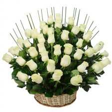Arreglo para Condolencias 50 Rosas Blancas