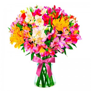 Florero 30 Astromelias Multicolores Florero 30 Astromelias Multicolores