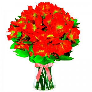 Florero 30 Astromelias Rojas Florero 30 Astromelias Rojas
