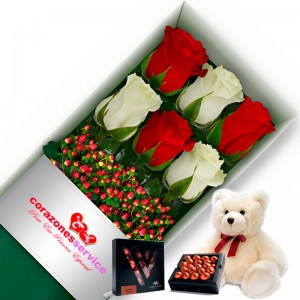 Caja con 6 Rosas Rojas con Blanco mas Peluche y Chocolate