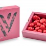 Chocolate Varsovienne Gragea Passion Cranberry 120 g