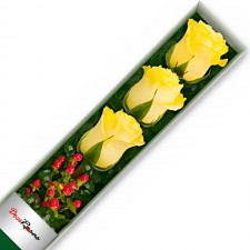 Caja con 3 Rosas Amarillas