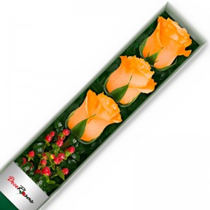 CAJA CON 3 ROSAS DAMASCO