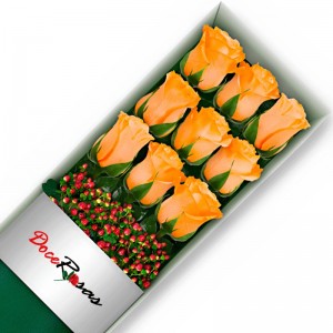 CAJA CON 9 ROSAS DAMASCO