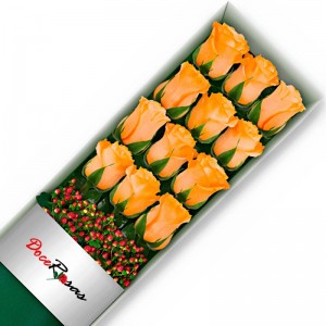 CAJA CON 12 ROSAS DAMASCO