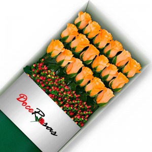 CAJA CON 18 ROSAS DAMASCO