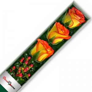 CAJA CON 3 ROSAS CIRCUS