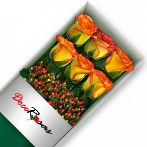 CAJA CON 6 ROSAS CIRCUS