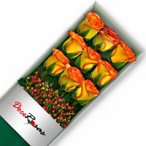 CAJA CON 9 ROSAS CIRCUS