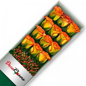 CAJA CON 12 ROSAS CIRCUS