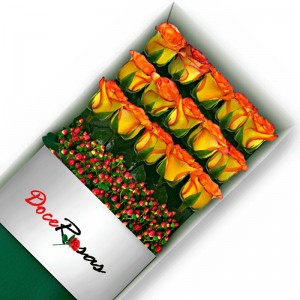 CAJA CON 15 ROSAS CIRCUS