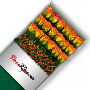 CAJA CON 18 ROSAS CIRCUS