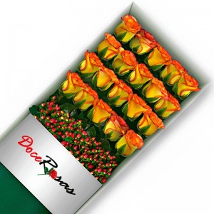 CAJA CON 20 ROSAS CIRCUS