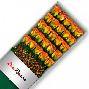CAJA CON 25 ROSAS CIRCUS