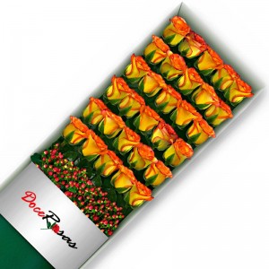 CAJA CON 30 ROSAS CIRCUS