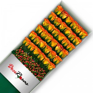 CAJA CON 36 ROSAS CIRCUS