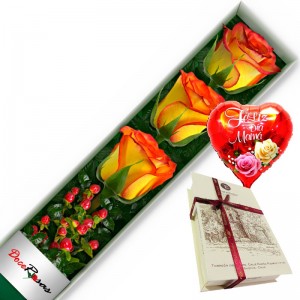 CAJA CON 3 ROSAS CIRCUS MÁS CHOCOLATE Y GLOBO DÍA DE LA MAMÁ CAJA CON 3 ROSAS CIRCUS MÁS CHOCOLATE Y GLOBO DÍA DE LA MAMÁ