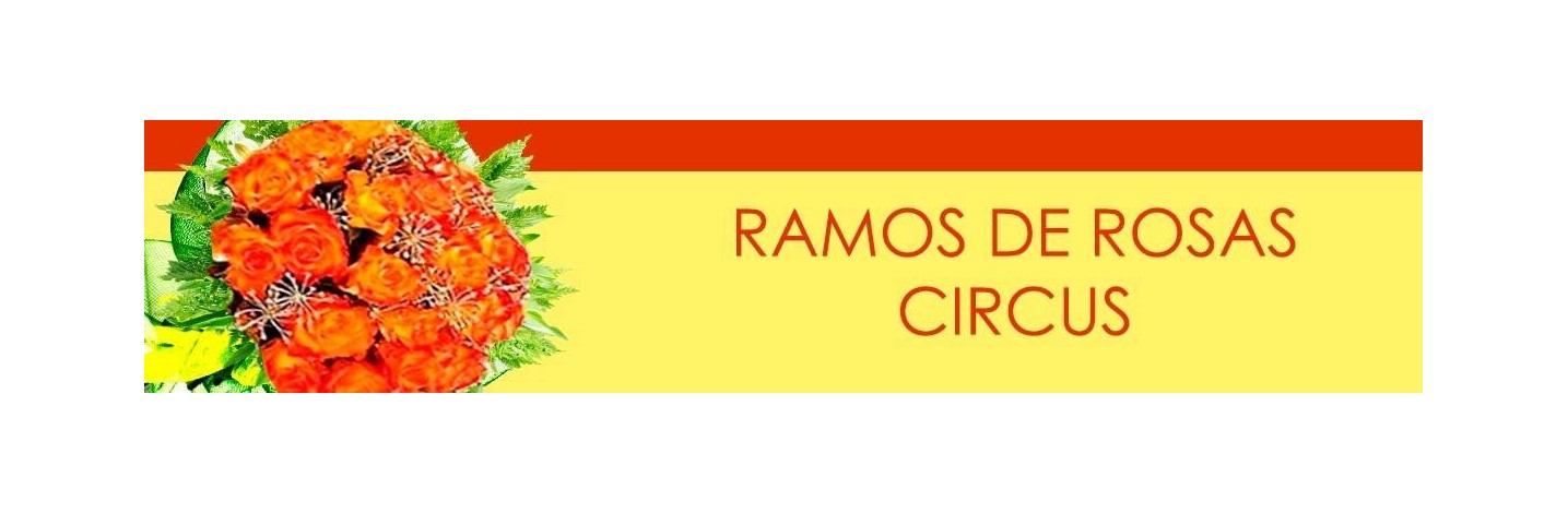 RAMOS DE ROSAS CIRCUS, RAMOS CON ROSAS CIRCUS, RAMOS ROSAS CIRCUS