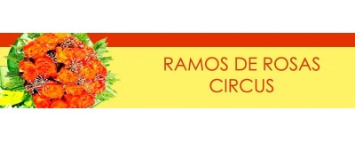 RAMOS DE ROSAS CIRCUS, RAMOS CON ROSAS CIRCUS, RAMOS ROSAS CIRCUS
