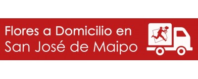FLORES A DOMICILIO EN SAN JOSÉ DE MAIPO, FLORERÍAS EN SAN JOSÉ DE MAIPO, ARREGLOS FLORALES EN SAN JOSÉ DE MAIPO