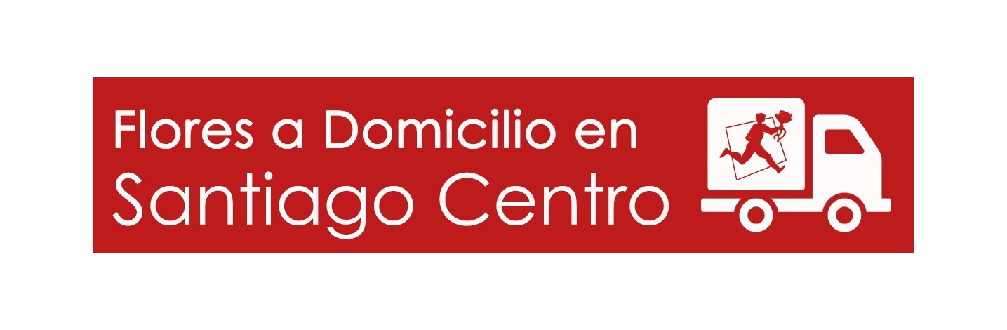 FLORES A DOMICILIO EN SANTIAGO CENTRO, FLORERÍAS EN SANTIAGO CENTRO, ARREGLOS FLORALES EN SANTIAGO CENTRO