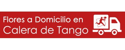 FLORES A DOMICILIO EN CALERA DE TANGO, FLORERÍAS EN CALERA DE TANGO, ARREGLOS FLORALES EN CALERA DE TANGO