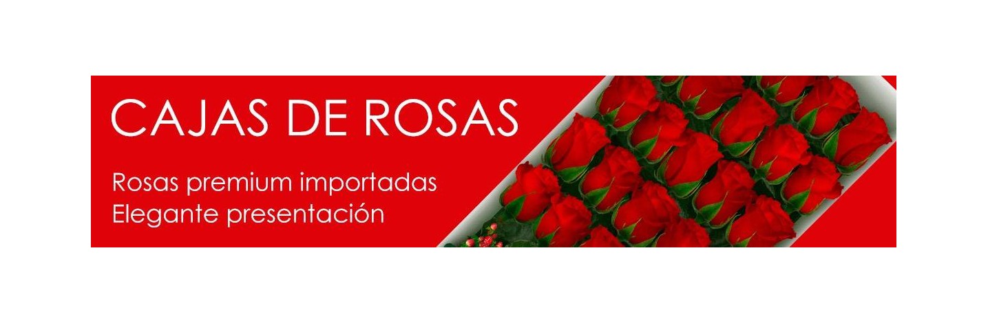 ROSAS EN CAJA - ENVIO DE CAJAS DE ROSAS A DOMICILIO EN SANTIGO CHILE