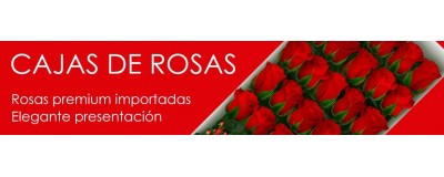 ROSAS EN CAJA - ENVIO DE CAJAS DE ROSAS A DOMICILIO EN SANTIGO CHILE